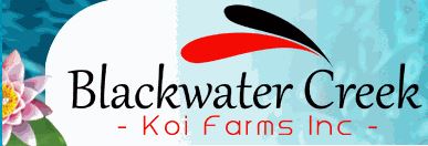 blackwater_logo.JPG
